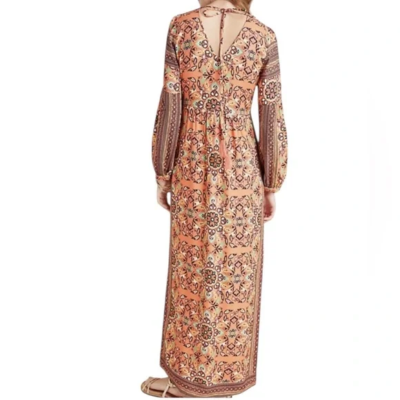 Farm Rio Anthropologie Clarabella Orange Floral Long Sleeve Maxi Dress M - Picture 2 of 12